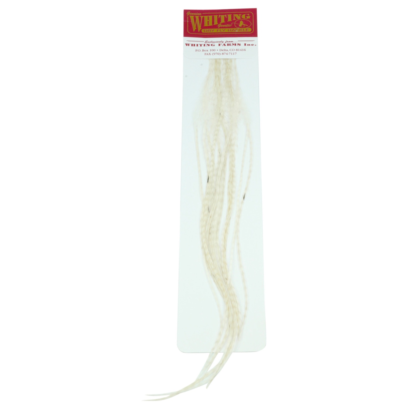 Whiting 100's Saddle Hackle Pack Size 14 White